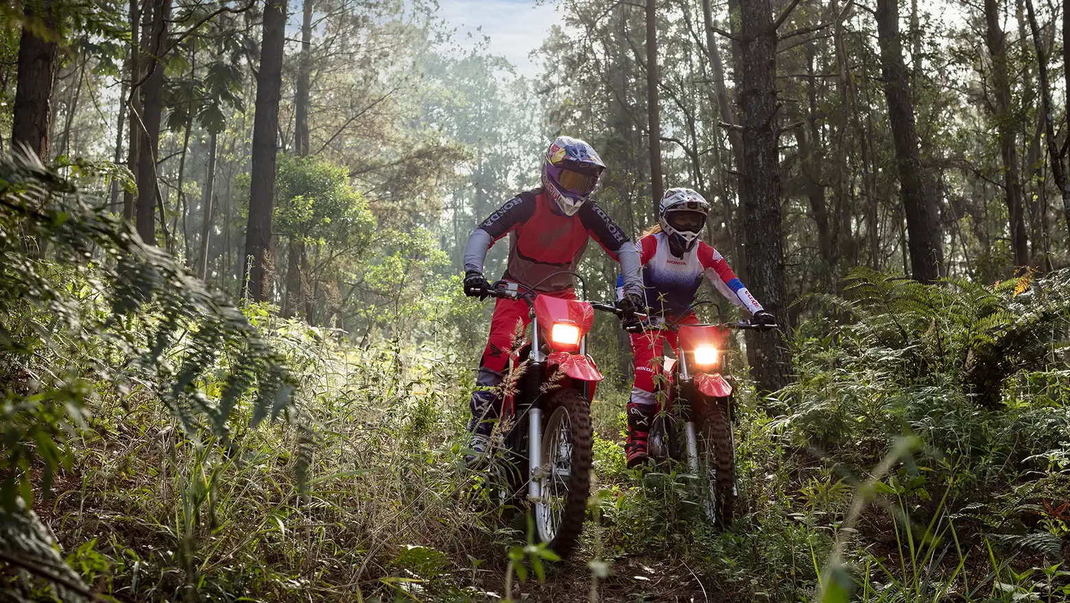 Nova Honda CRF 300F Sendo Pilotada na Floresta