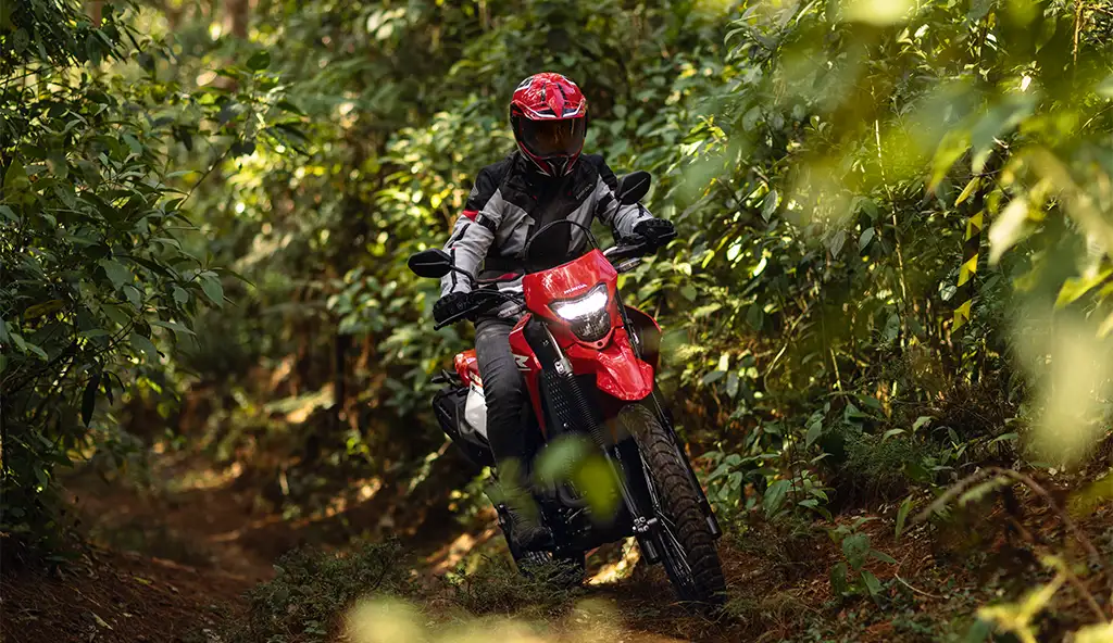 Motor 300cc da Moto Honda XR 300L Tornado